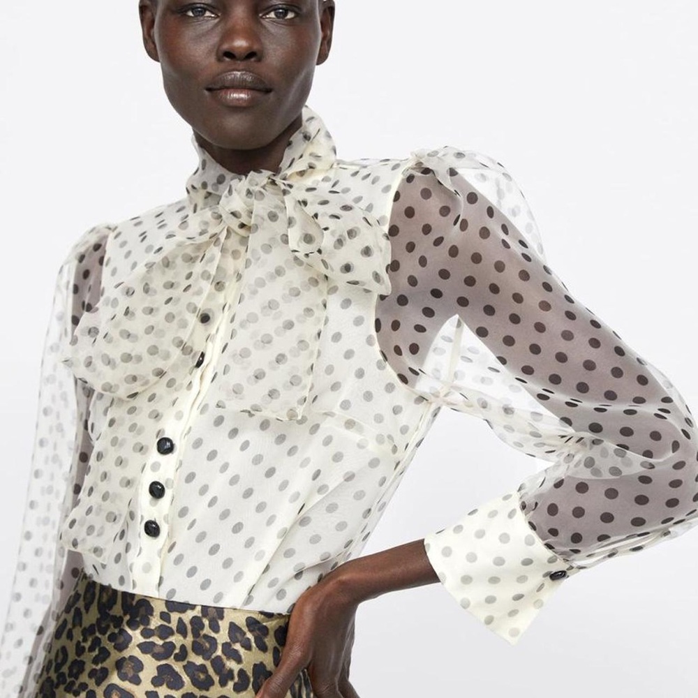 Zara Organza Semi-Sheer Polka Dot Blouse